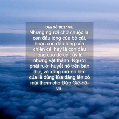 Picture 04 - Dân Số 18:17 VIE - Nhưng ngươi chớ chuộc lại con đầu - Bible Verse Picture