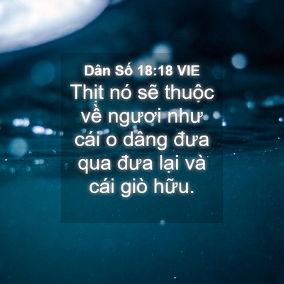 Picture 04 - Dân Số 18:18 VIE - Thịt nó sẽ thuộc về ngươi như cái o - Bible Verse Picture