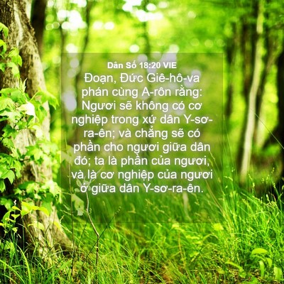 Picture 04 - Dân Số 18:20 VIE - Đoạn, Đức Giê-hô-va phán cùng A-rôn - Bible Verse Picture