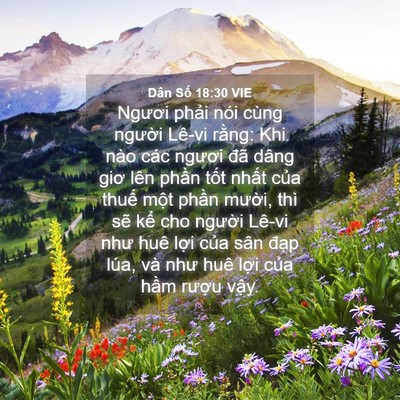 Picture 04 - Dân Số 18:30 VIE - Ngươi phải nói cùng người Lê-vi rằng: - Bible Verse Picture