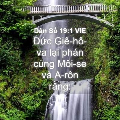 Picture 04 - Dân Số 19:1 VIE - Đức Giê-hô-va lại phán cùng Môi-se và - Bible Verse Picture
