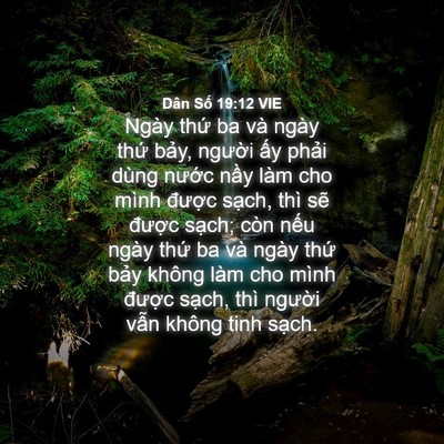 Picture 04 - Dân Số 19:12 VIE - Ngày thứ ba và ngày thứ bảy, người - Bible Verse Picture