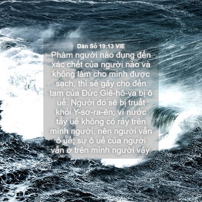 Picture 04 - Dân Số 19:13 VIE - Phàm người nào đụng đến xác chết - Bible Verse Picture