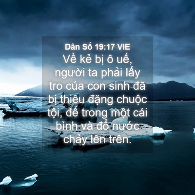 Picture 04 - Dân Số 19:17 VIE - Về kẻ bị ô uế, người ta phải lấy - Bible Verse Picture