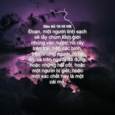 Picture 04 - Dân Số 19:18 VIE - Đoạn, một người tinh sạch sẽ lấy - Bible Verse Picture