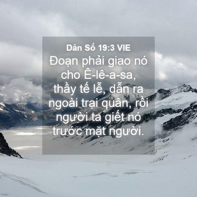 Picture 04 - Dân Số 19:3 VIE - Đoạn phải giao nó cho Ê-lê-a-sa, thầy - Bible Verse Picture