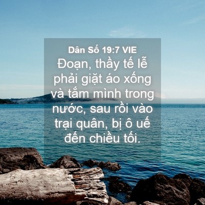 Picture 04 - Dân Số 19:7 VIE - Đoạn, thầy tế lễ phải giặt áo - Bible Verse Picture