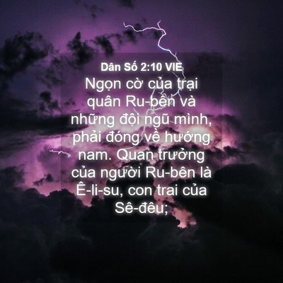 Picture 04 - Dân Số 2:10 VIE - Ngọn cờ của trại quân Ru-bên và - Bible Verse Picture