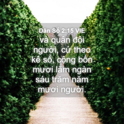 Picture 04 - Dân Số 2:15 VIE - và quân đội người, cứ theo kê sổ, - Bible Verse Picture