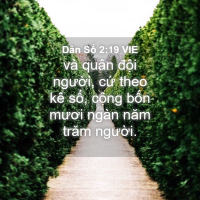 Picture 04 - Dân Số 2:19 VIE - và quân đội người, cứ theo kê sổ, - Bible Verse Picture