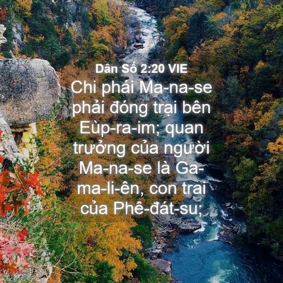 Picture 04 - Dân Số 2:20 VIE - Chi phái Ma-na-se phải đóng trại bên - Bible Verse Picture