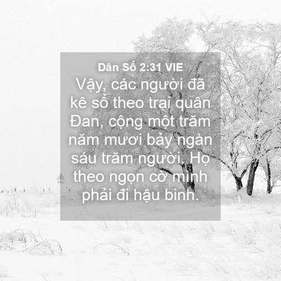 Picture 04 - Dân Số 2:31 VIE - Vậy, các người đã kê sổ theo trại - Bible Verse Picture