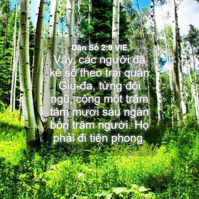 Picture 04 - Dân Số 2:9 VIE - Vậy, các người đã kê sổ theo trại - Bible Verse Picture