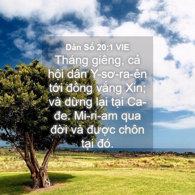 Picture 04 - Dân Số 20:1 VIE - Tháng giêng, cả hội dân Y-sơ-ra-ên tới - Bible Verse Picture