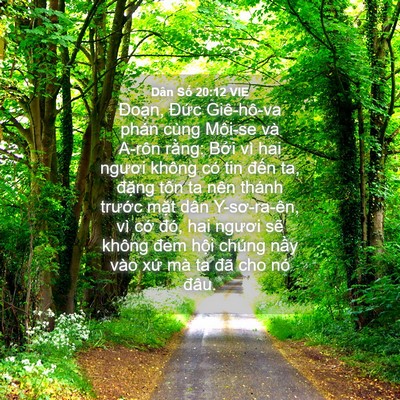 Picture 04 - Dân Số 20:12 VIE - Đoạn, Đức Giê-hô-va phán cùng Môi-se - Bible Verse Picture
