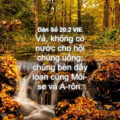 Picture 04 - Dân Số 20:2 VIE - Vả, không có nước cho hội chúng uống; - Bible Verse Picture