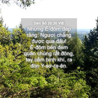 Picture 04 - Dân Số 20:20 VIE - Nhưng Ê-đôm đáp rằng: Ngươi chẳng - Bible Verse Picture