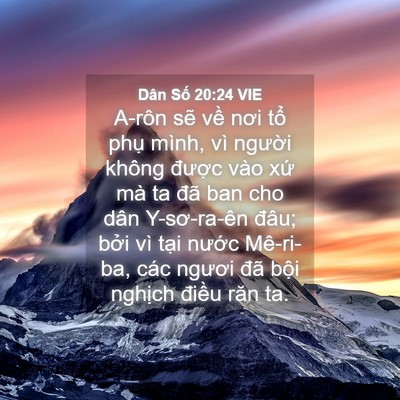 Picture 04 - Dân Số 20:24 VIE - A-rôn sẽ về nơi tổ phụ mình, vì - Bible Verse Picture
