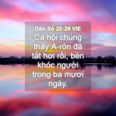 Picture 04 - Dân Số 20:29 VIE - Cả hội chúng thấy A-rôn đã tắt hơi - Bible Verse Picture