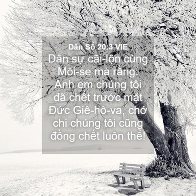 Picture 04 - Dân Số 20:3 VIE - Dân sự cãi-lộn cùng Môi-se mà rằng: - Bible Verse Picture