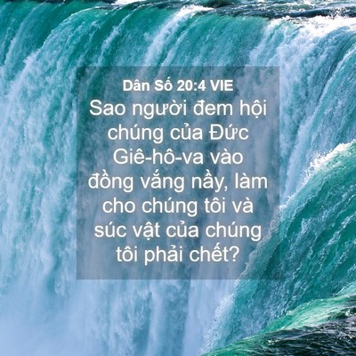 Picture 04 - Dân Số 20:4 VIE - Sao người đem hội chúng của Đức - Bible Verse Picture