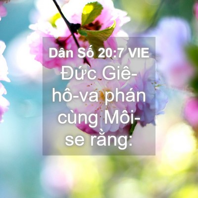Picture 04 - Dân Số 20:7 VIE - Đức Giê-hô-va phán cùng Môi-se - Bible Verse Picture