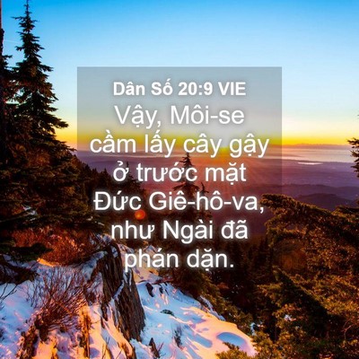 Picture 04 - Dân Số 20:9 VIE - Vậy, Môi-se cầm lấy cây gậy ở - Bible Verse Picture