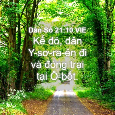 Picture 04 - Dân Số 21:10 VIE - Kế đó, dân Y-sơ-ra-ên đi và đóng - Bible Verse Picture