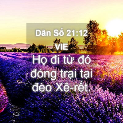 Picture 04 - Dân Số 21:12 VIE - Họ đi từ đó đóng trại tại đèo - Bible Verse Picture