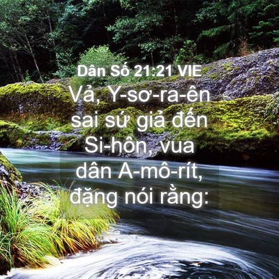 Picture 04 - Dân Số 21:21 VIE - Vả, Y-sơ-ra-ên sai sứ giả đến Si-hôn, - Bible Verse Picture