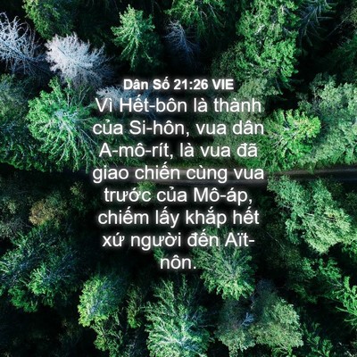 Picture 04 - Dân Số 21:26 VIE - Vì Hết-bôn là thành của Si-hôn, vua dân - Bible Verse Picture