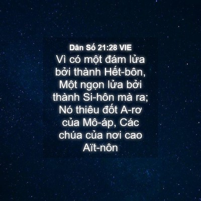 Picture 04 - Dân Số 21:28 VIE - Vì có một đám lửa bởi thành - Bible Verse Picture