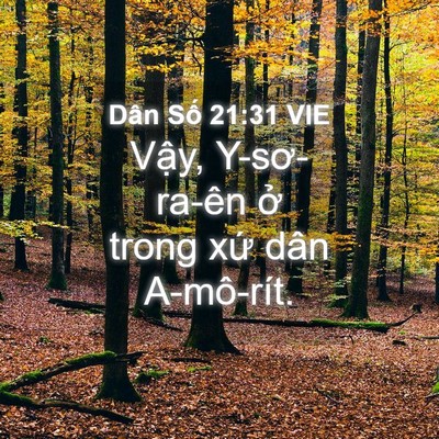 Picture 04 - Dân Số 21:31 VIE - Vậy, Y-sơ-ra-ên ở trong xứ dân - Bible Verse Picture