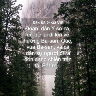 Picture 04 - Dân Số 21:33 VIE - Đoạn, dân Y-sơ-ra-ên trở lại đi lên - Bible Verse Picture