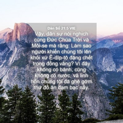 Picture 04 - Dân Số 21:5 VIE - Vậy, dân sự nói nghịch cùng Đức Chúa - Bible Verse Picture