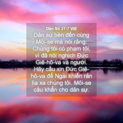 Picture 04 - Dân Số 21:7 VIE - Dân sự bèn đến cùng Môi-se mà nói - Bible Verse Picture
