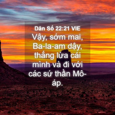 Picture 04 - Dân Số 22:21 VIE - Vậy, sớm mai, Ba-la-am dậy, thắng lừa - Bible Verse Picture