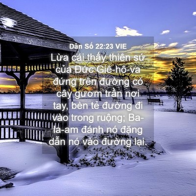 Picture 04 - Dân Số 22:23 VIE - Lừa cái thấy thiên sứ của Đức - Bible Verse Picture
