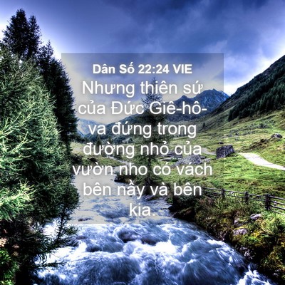 Picture 04 - Dân Số 22:24 VIE - Nhưng thiên sứ của Đức Giê-hô-va - Bible Verse Picture