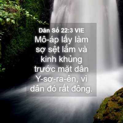Picture 04 - Dân Số 22:3 VIE - Mô-áp lấy làm sợ sệt lắm và kinh - Bible Verse Picture