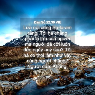Picture 04 - Dân Số 22:30 VIE - Lừa nói cùng Ba-la-am rằng: Tôi há - Bible Verse Picture
