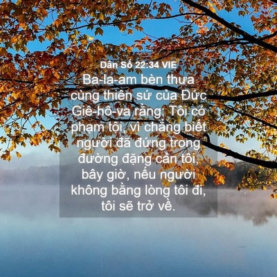 Picture 04 - Dân Số 22:34 VIE - Ba-la-am bèn thưa cùng thiên sứ của - Bible Verse Picture