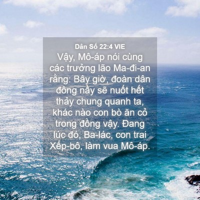 Picture 04 - Dân Số 22:4 VIE - Vậy, Mô-áp nói cùng các trưởng lão - Bible Verse Picture