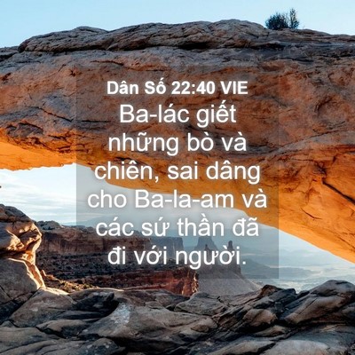 Picture 04 - Dân Số 22:40 VIE - Ba-lác giết những bò và chiên, sai dâng - Bible Verse Picture