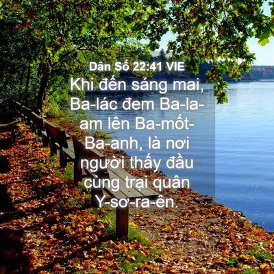 Picture 04 - Dân Số 22:41 VIE - Khi đến sáng mai, Ba-lác đem Ba-la-am lên - Bible Verse Picture