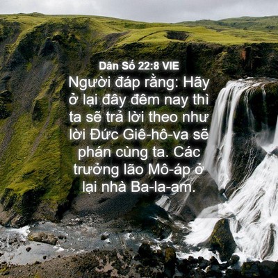 Picture 04 - Dân Số 22:8 VIE - Người đáp rằng: Hãy ở lại đây đêm - Bible Verse Picture