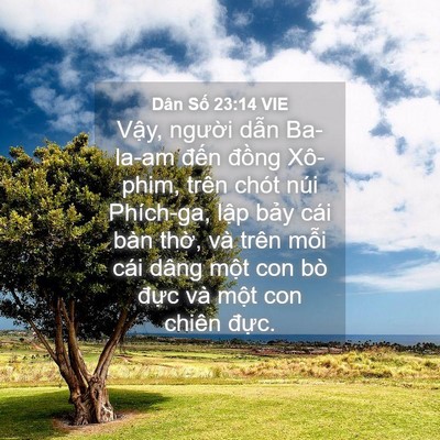 Picture 04 - Dân Số 23:14 VIE - Vậy, người dẫn Ba-la-am đến đồng - Bible Verse Picture