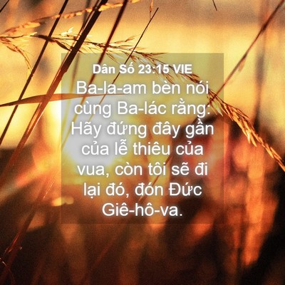 Picture 04 - Dân Số 23:15 VIE - Ba-la-am bèn nói cùng Ba-lác rằng: Hãy - Bible Verse Picture