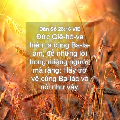 Picture 04 - Dân Số 23:16 VIE - Đức Giê-hô-va hiện ra cùng Ba-la-am, - Bible Verse Picture