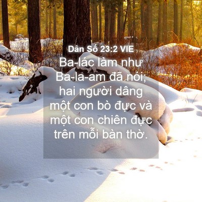 Picture 04 - Dân Số 23:2 VIE - Ba-lác làm như Ba-la-am đã nói; hai - Bible Verse Picture